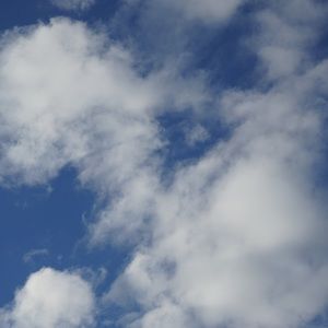 Meet your Posher, Juan